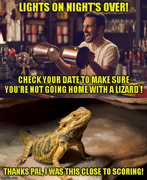 Been there, gone home with that | LIGHTS ON NIGHT'S OVER! CHECK YOUR DATE TO MAKE SURE YOU'RE NOT GOING HOME WITH A LIZARD ! THANKS PAL, I WAS THIS CLOSE TO SCORING! | image tagged in old joke,just a joke | made w/ Imgflip meme maker