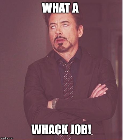 Face You Make Robert Downey Jr Meme | WHAT A WHACK JOB! | image tagged in memes,face you make robert downey jr | made w/ Imgflip meme maker