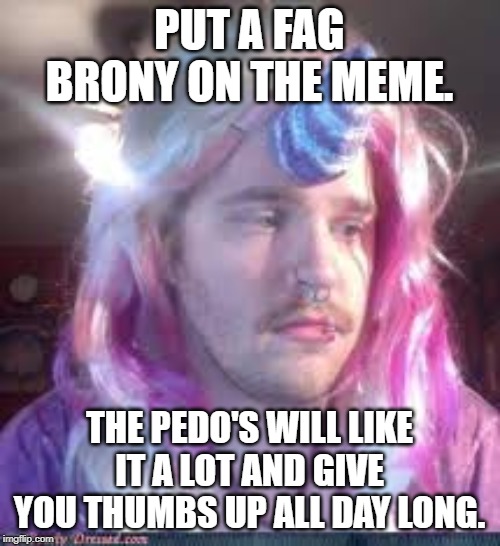Bronies | PUT A F*G BRONY ON THE MEME. THE PEDO'S WILL LIKE IT A LOT AND GIVE YOU THUMBS UP ALL DAY LONG. | image tagged in bronies | made w/ Imgflip meme maker