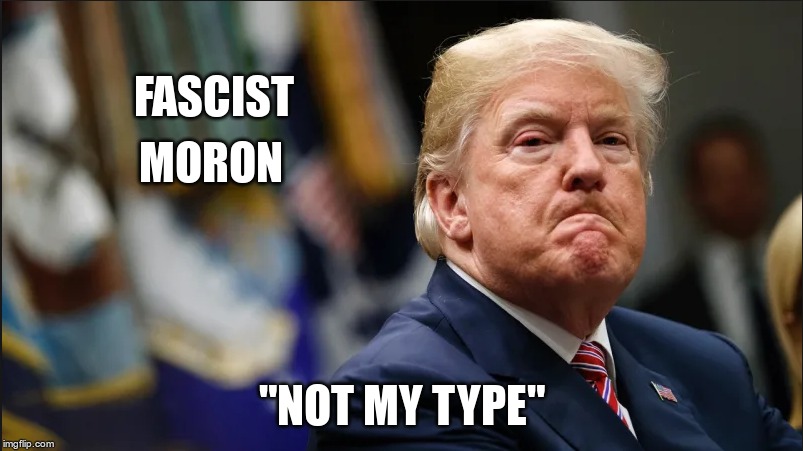 Fascist Moron | FASCIST; MORON; "NOT MY TYPE" | image tagged in trump,gop,fascist,moron | made w/ Imgflip meme maker