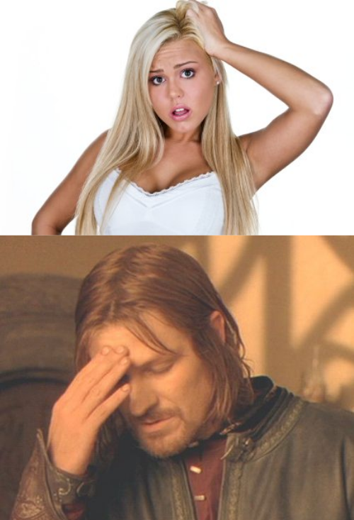 Dumb Blonde Frustrated Boromir Blank Meme Template