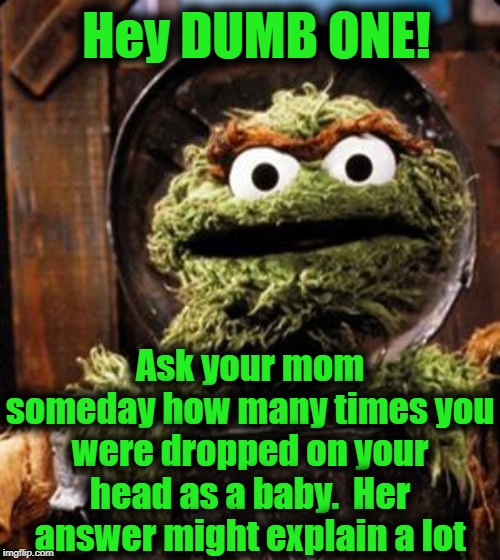 Oscar the Grouch | Hey DUMB ONE! Ask your mom someday how many times you were dropped on your head as a baby.  Her answer might explain a lot | image tagged in oscar the grouch | made w/ Imgflip meme maker