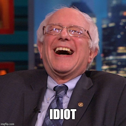 Bernie Sanders laughing | IDIOT | image tagged in bernie sanders laughing | made w/ Imgflip meme maker
