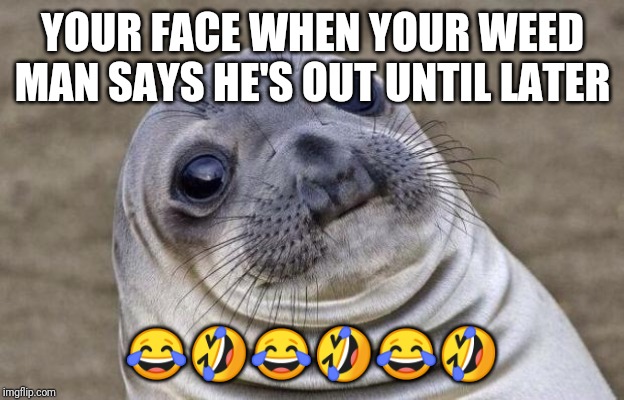 Awkward Moment Sealion | YOUR FACE WHEN YOUR WEED MAN SAYS HE'S OUT UNTIL LATER; 😂🤣😂🤣😂🤣 | image tagged in memes,awkward moment sealion | made w/ Imgflip meme maker