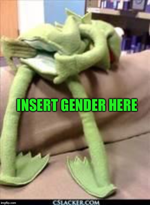Gay kermit | INSERT GENDER HERE | image tagged in gay kermit | made w/ Imgflip meme maker