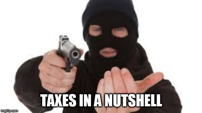 Robber | TAXES IN A NUTSHELL | image tagged in robber,tax,taxes,greed,greedy,government | made w/ Imgflip meme maker