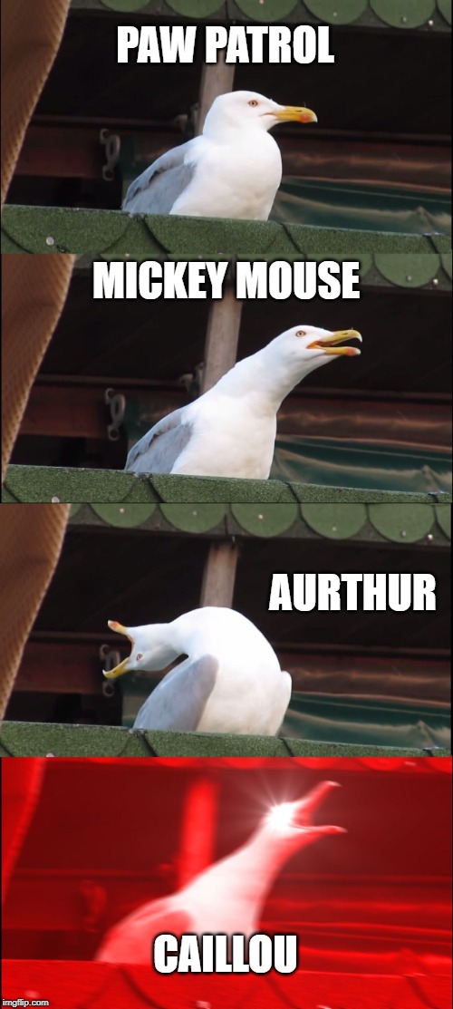 Intro songs that make me want to jump off a cliff...am I the only one? | PAW PATROL; MICKEY MOUSE; AURTHUR; CAILLOU | image tagged in memes,inhaling seagull | made w/ Imgflip meme maker