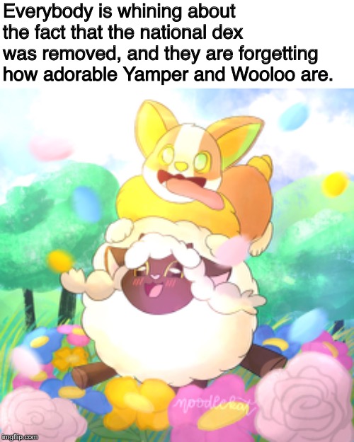 These Pokémon are adorable!!! | Everybody is whining about the fact that the national dex was removed, and they are forgetting how adorable Yamper and Wooloo are. | image tagged in pokemon,memes,wholesome,adorable,dogs,sheep | made w/ Imgflip meme maker
