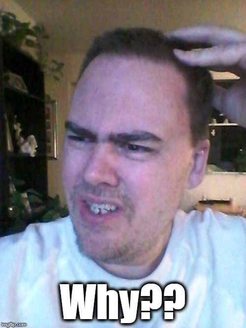 indecisive | Why?? | image tagged in indecisive | made w/ Imgflip meme maker