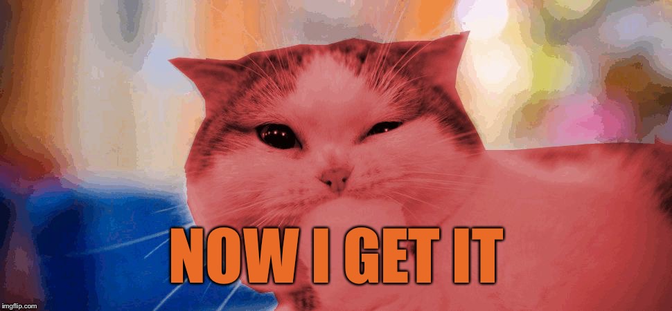 RayCat laughing | NOW I GET IT | image tagged in raycat laughing | made w/ Imgflip meme maker