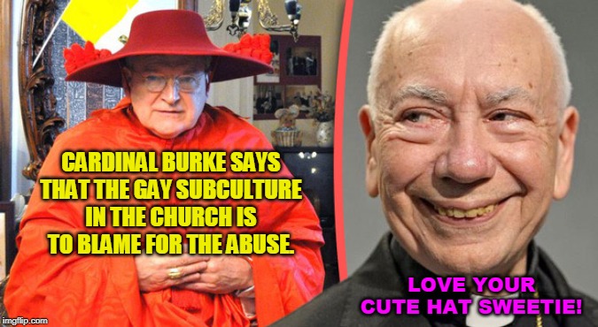 CARDINAL BURKE SAYS THAT THE GAY SUBCULTURE IN THE CHURCH IS TO BLAME FOR THE ABUSE. LOVE YOUR CUTE HAT SWEETIE! | made w/ Imgflip meme maker