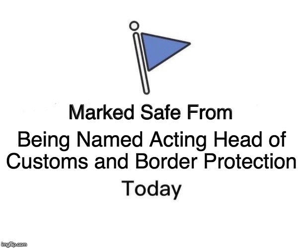 Marked Safe From Meme | Being Named Acting Head of Customs and Border Protection | image tagged in memes,marked safe from | made w/ Imgflip meme maker