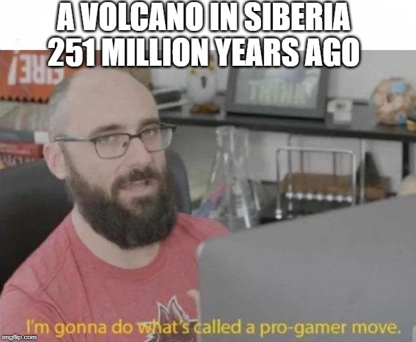 Look up 'End Permian extinction' | A VOLCANO IN SIBERIA 251 MILLION YEARS AGO | image tagged in pro gamer move,historical meme,extinction | made w/ Imgflip meme maker