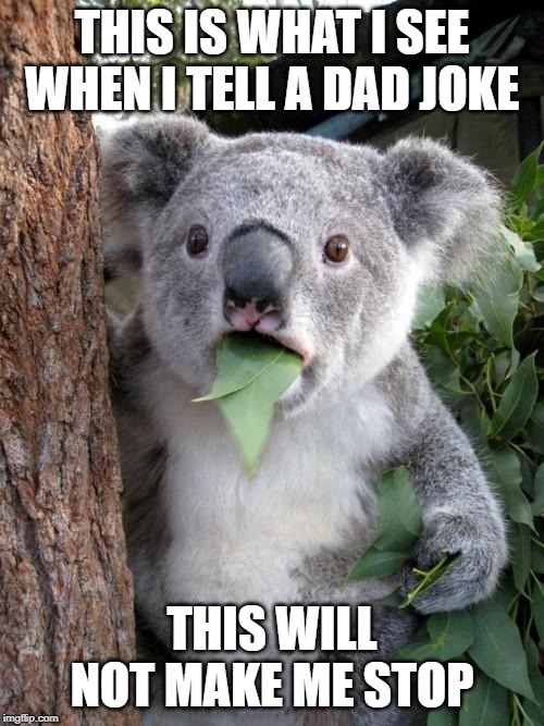 Surprised Koala Meme | THIS IS WHAT I SEE WHEN I TELL A DAD JOKE; THIS WILL NOT MAKE ME STOP | image tagged in memes,surprised koala | made w/ Imgflip meme maker