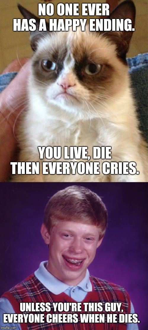 Sick burn Grumpy cat. | NO ONE EVER HAS A HAPPY ENDING. YOU LIVE, DIE THEN EVERYONE CRIES. UNLESS YOU'RE THIS GUY, EVERYONE CHEERS WHEN HE DIES. | image tagged in grumpy cat,badluck brian,funny memes,death,life,somber | made w/ Imgflip meme maker