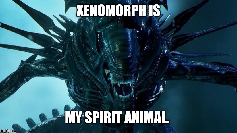 XENOMORPH IS; MY SPIRIT ANIMAL. | image tagged in alien | made w/ Imgflip meme maker
