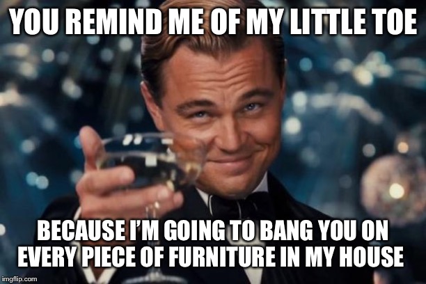 Leonardo Dicaprio Cheers | YOU REMIND ME OF MY LITTLE TOE; BECAUSE I’M GOING TO BANG YOU ON EVERY PIECE OF FURNITURE IN MY HOUSE | image tagged in memes,leonardo dicaprio cheers | made w/ Imgflip meme maker