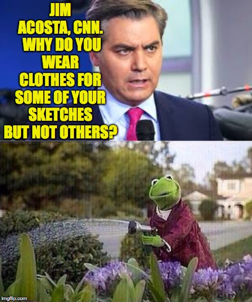 When Jim comes by for brunch  ( : | JIM ACOSTA, CNN.  WHY DO YOU WEAR CLOTHES FOR SOME OF YOUR SKETCHES BUT NOT OTHERS? | image tagged in kermit watering plants,memes,jim acosta | made w/ Imgflip meme maker