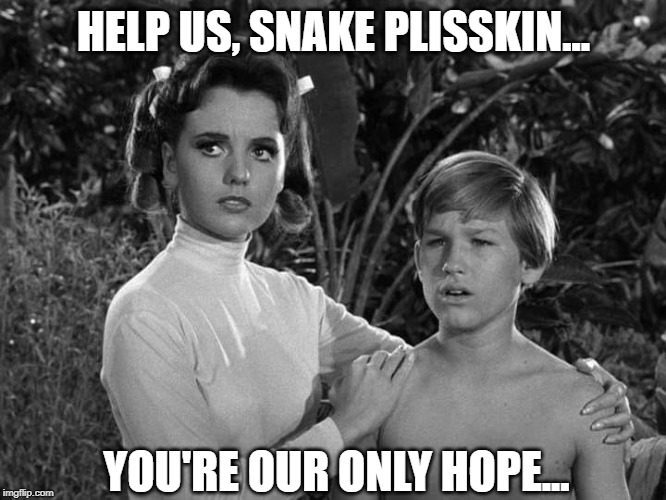 Snake's our only hope... | HELP US, SNAKE PLISSKIN... YOU'RE OUR ONLY HOPE... | image tagged in help us snake,obi-wan plisskin | made w/ Imgflip meme maker
