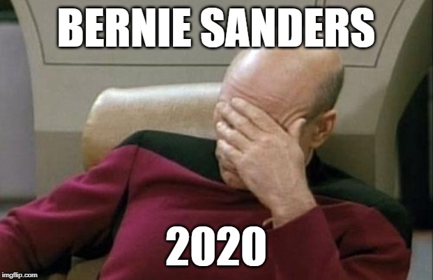 Bernie Sanders 2020 | BERNIE SANDERS; 2020 | image tagged in captain picard facepalm,bernie sanders,2020 elections,socialism,politics lol,funny memes | made w/ Imgflip meme maker