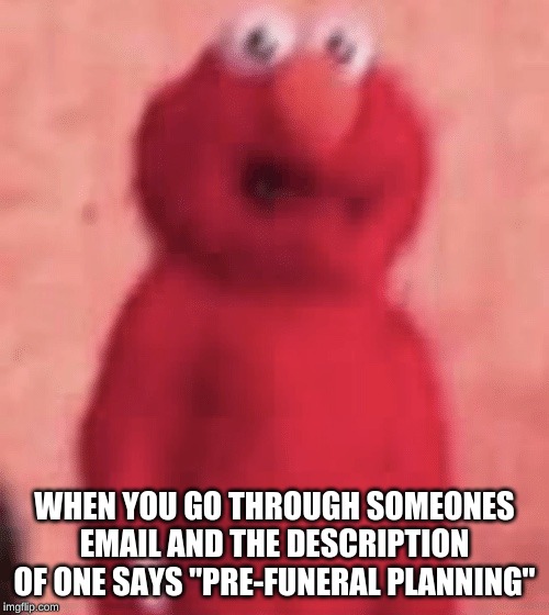 Scared elmo | WHEN YOU GO THROUGH SOMEONES EMAIL AND THE DESCRIPTION OF ONE SAYS "PRE-FUNERAL PLANNING" | image tagged in scared elmo | made w/ Imgflip meme maker
