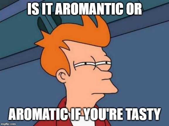 Futurama Fry | IS IT AROMANTIC OR; AROMATIC IF YOU'RE TASTY | image tagged in memes,futurama fry | made w/ Imgflip meme maker