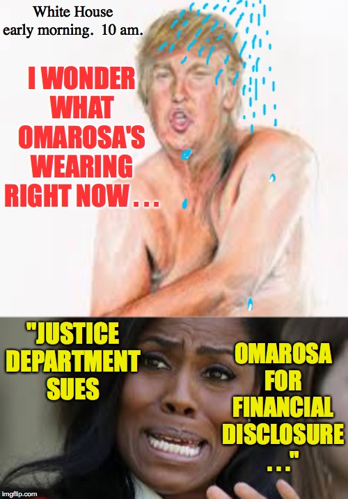 Another day, another shower. | White House early morning.  10 am. I WONDER WHAT OMAROSA'S WEARING RIGHT NOW . . . "JUSTICE DEPARTMENT SUES; OMAROSA FOR FINANCIAL DISCLOSURE . . ." | image tagged in memes,omarosa,trump shower,feelings | made w/ Imgflip meme maker