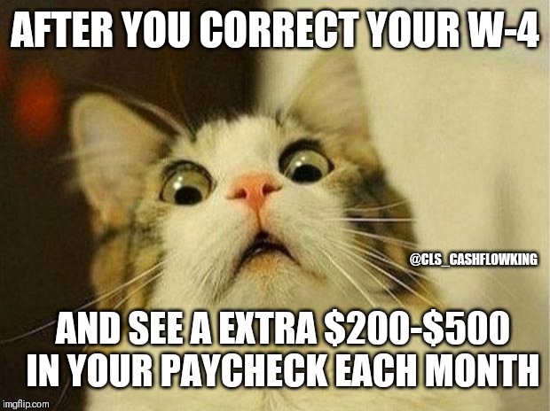 Surprised Cat | AFTER YOU CORRECT YOUR W-4; @CLS_CASHFLOWKING; AND SEE A EXTRA $200-$500 IN YOUR PAYCHECK EACH MONTH | image tagged in memes,scared cat | made w/ Imgflip meme maker