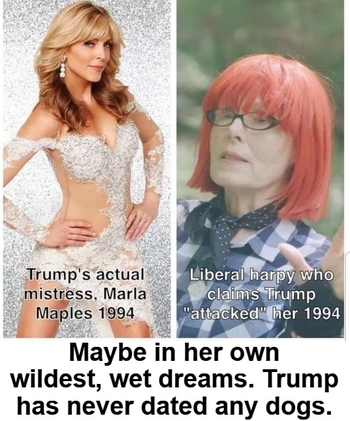 Fox vs. Dog | Maybe in her own wildest, wet dreams. Trump has never dated any dogs. | image tagged in triggered feminist,triggered liberal,me too,clinton vs trump civil war,slander,fox vs dog | made w/ Imgflip meme maker