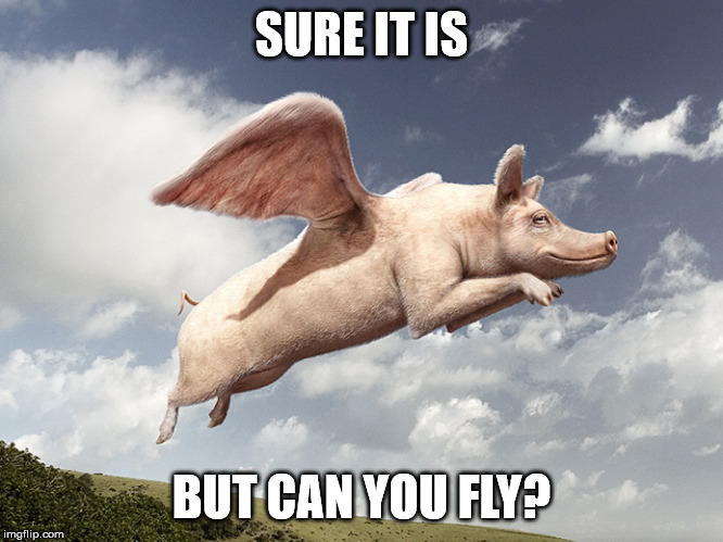 flying pig | SURE IT IS BUT CAN YOU FLY? | image tagged in flying pig | made w/ Imgflip meme maker