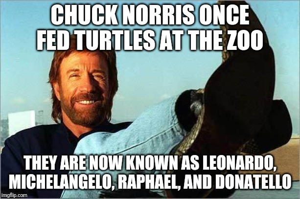 Chuck Norris Says | CHUCK NORRIS ONCE FED TURTLES AT THE ZOO; THEY ARE NOW KNOWN AS LEONARDO, MICHELANGELO, RAPHAEL, AND DONATELLO | image tagged in chuck norris says | made w/ Imgflip meme maker