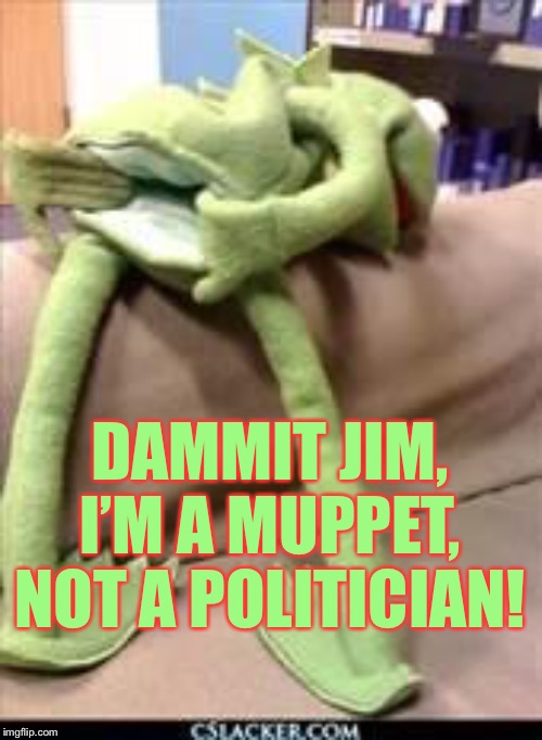 Gay kermit | DAMMIT JIM, I’M A MUPPET, NOT A POLITICIAN! | image tagged in gay kermit | made w/ Imgflip meme maker