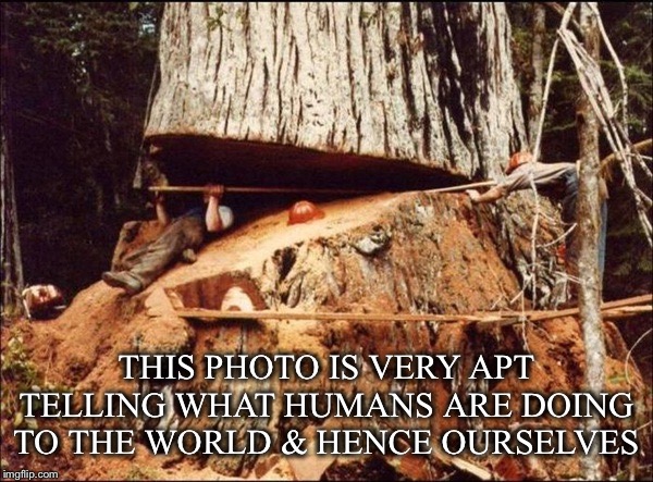 How Apropos | THIS PHOTO IS VERY APT TELLING WHAT HUMANS ARE DOING TO THE WORLD & HENCE OURSELVES | image tagged in humans,world,environment,degradation,culling,extinction | made w/ Imgflip meme maker