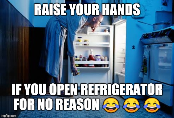 Meme | RAISE YOUR HANDS; IF YOU OPEN REFRIGERATOR FOR NO REASON 😂 😂 😂 | image tagged in funny memes,so true memes,lol so funny,fun | made w/ Imgflip meme maker