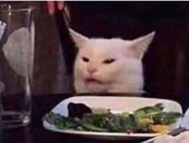 white dinner table cat Blank Meme Template