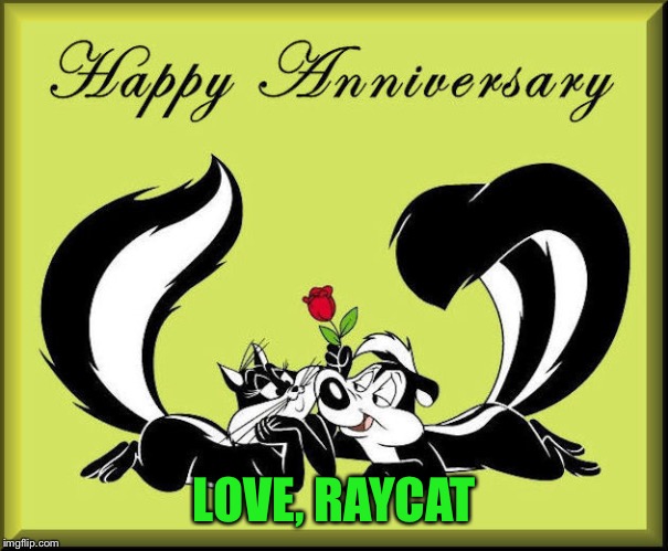 Happy Anniversary Rachel Kevin | LOVE, RAYCAT | image tagged in happy anniversary rachel kevin | made w/ Imgflip meme maker