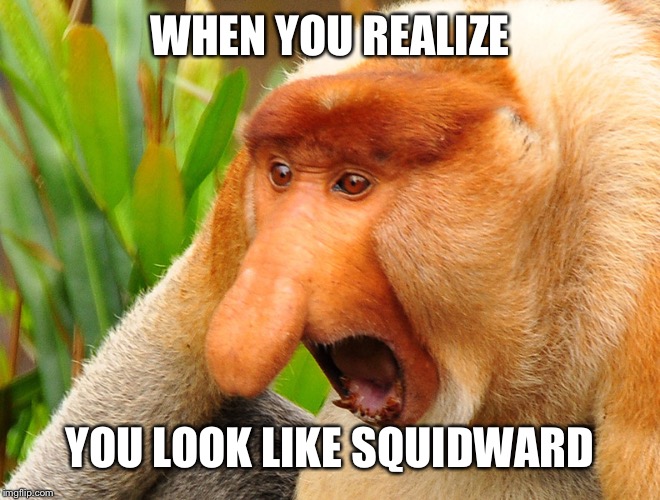 Janusz monkey screaming | WHEN YOU REALIZE; YOU LOOK LIKE SQUIDWARD | image tagged in janusz monkey screaming | made w/ Imgflip meme maker