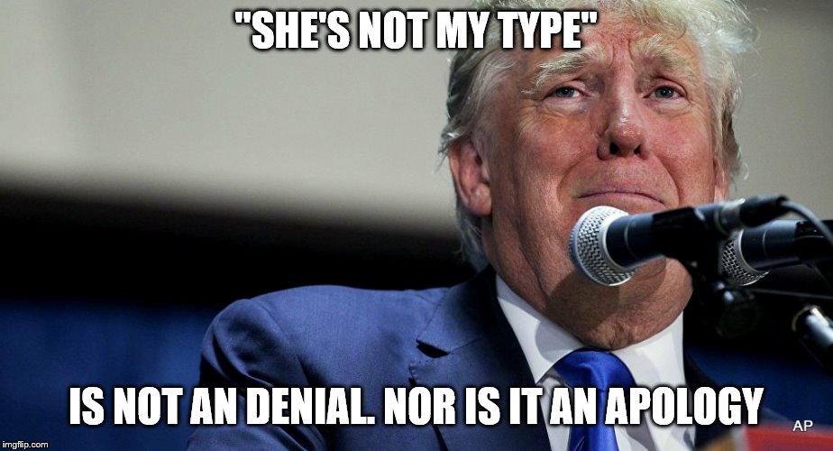 Sad Trump | "SHE'S NOT MY TYPE"; IS NOT AN DENIAL. NOR IS IT AN APOLOGY | image tagged in sad trump | made w/ Imgflip meme maker