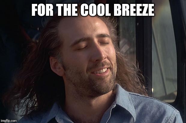 nicholas cage | FOR THE COOL BREEZE | image tagged in nicholas cage | made w/ Imgflip meme maker