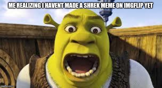 I need the shrek memes! | ME REALIZING I HAVENT MADE A SHREK MEME ON IMGFLIP YET | image tagged in get shrekt,shrek,memes,funny,realization | made w/ Imgflip meme maker
