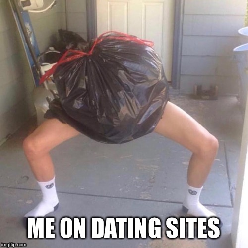 Me on dating sites | ME ON DATING SITES | image tagged in tinder,online dating | made w/ Imgflip meme maker