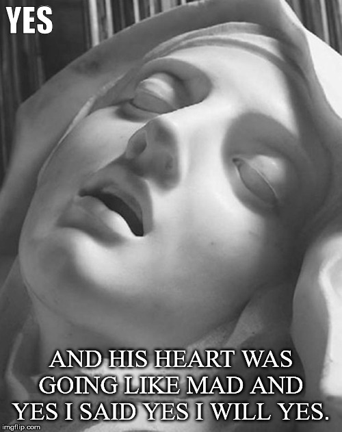 Ecstasy of St Theresa | YES; AND HIS HEART WAS GOING LIKE MAD AND YES I SAID YES I WILL YES. | image tagged in ecstasy of st theresa | made w/ Imgflip meme maker