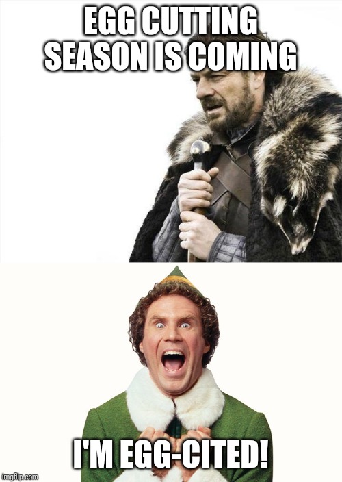 EGG CUTTING SEASON IS COMING; I'M EGG-CITED! | image tagged in memes,brace yourselves x is coming,buddy the elf excited | made w/ Imgflip meme maker