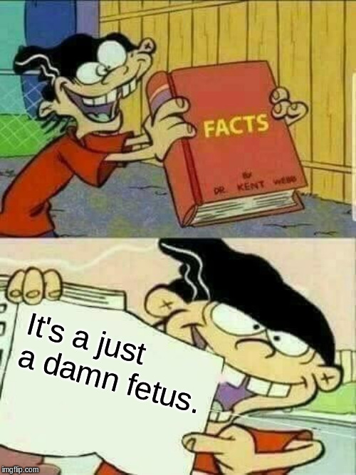 Double d facts book  | It's a just a damn fetus. | image tagged in double d facts book | made w/ Imgflip meme maker