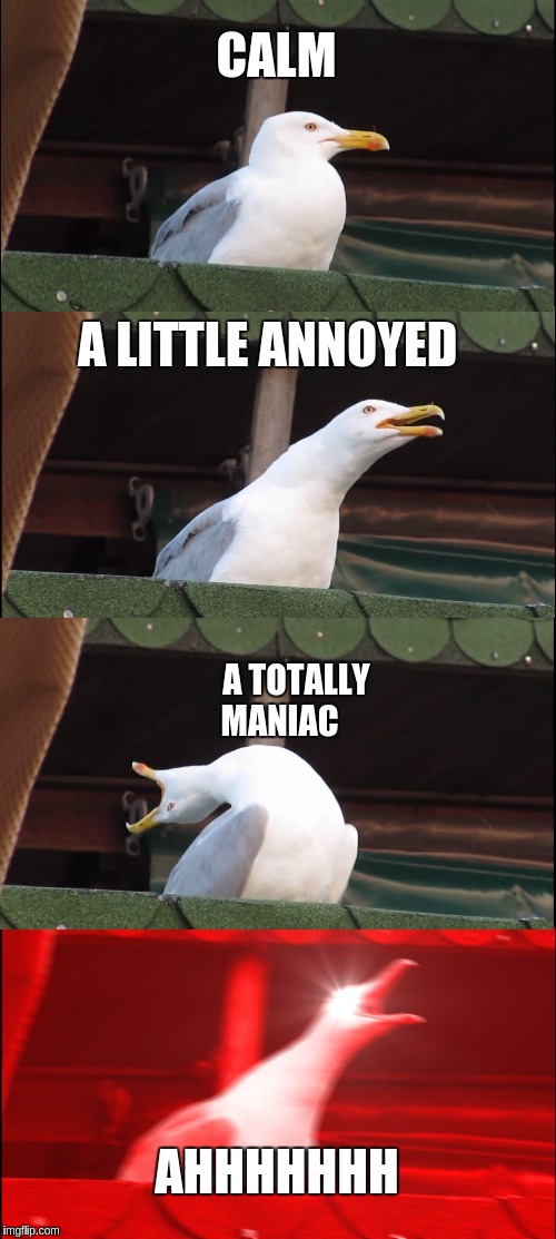 Maniac meme | CALM; A LITTLE ANNOYED; A TOTALLY MANIAC; AHHHHHHH | image tagged in funny memes,seagull | made w/ Imgflip meme maker
