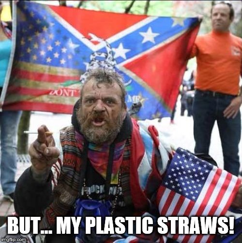 conservative alt right tardo | BUT... MY PLASTIC STRAWS! | image tagged in conservative alt right tardo | made w/ Imgflip meme maker