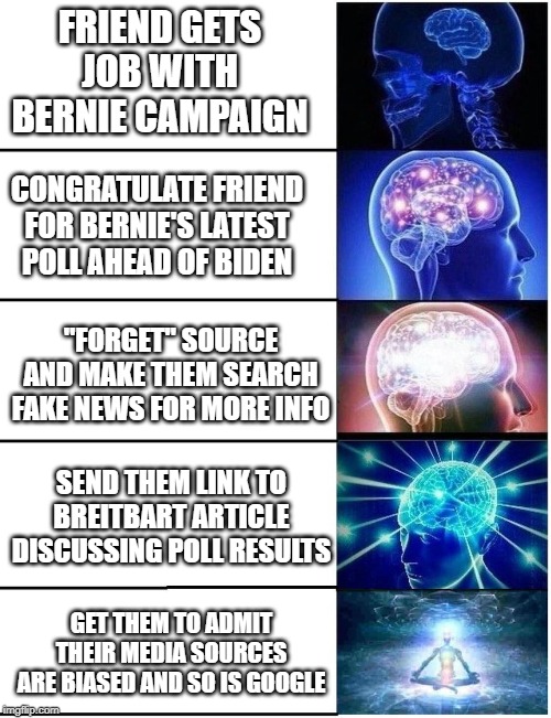 Expanding Brain 5 Panel | FRIEND GETS JOB WITH BERNIE CAMPAIGN; CONGRATULATE FRIEND FOR BERNIE'S LATEST POLL AHEAD OF BIDEN; "FORGET" SOURCE AND MAKE THEM SEARCH FAKE NEWS FOR MORE INFO; SEND THEM LINK TO BREITBART ARTICLE DISCUSSING POLL RESULTS; GET THEM TO ADMIT THEIR MEDIA SOURCES ARE BIASED AND SO IS GOOGLE | image tagged in expanding brain 5 panel | made w/ Imgflip meme maker