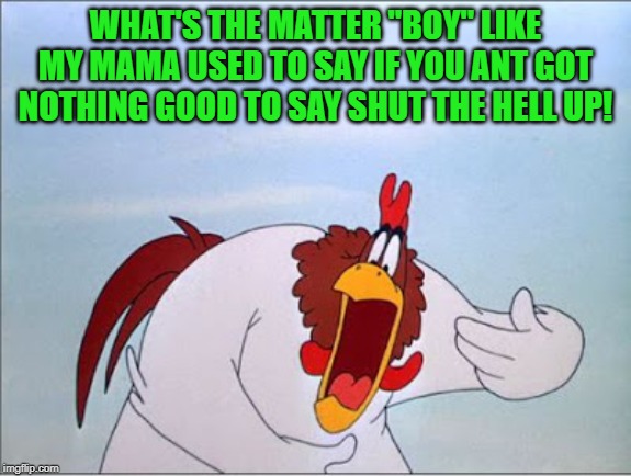foghorn | WHAT'S THE MATTER "BOY" LIKE MY MAMA USED TO SAY IF YOU ANT GOT NOTHING GOOD TO SAY SHUT THE HELL UP! | image tagged in foghorn | made w/ Imgflip meme maker