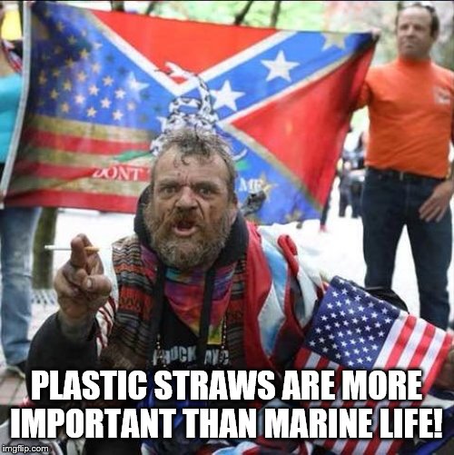 conservative alt right tardo | PLASTIC STRAWS ARE MORE IMPORTANT THAN MARINE LIFE! | image tagged in conservative alt right tardo | made w/ Imgflip meme maker