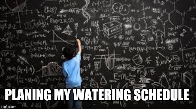 Equation | PLANING MY WATERING SCHEDULE | image tagged in equation | made w/ Imgflip meme maker